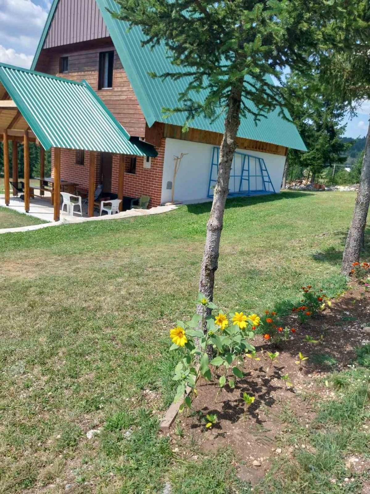 House In Forest Žabljak Exterior foto